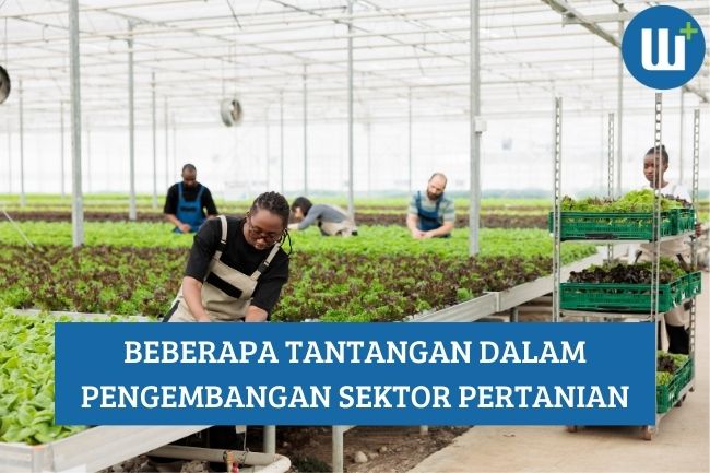 Beberapa Tantangan dalam Pengembangan Sektor Pertanian